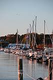 Long Island, New York